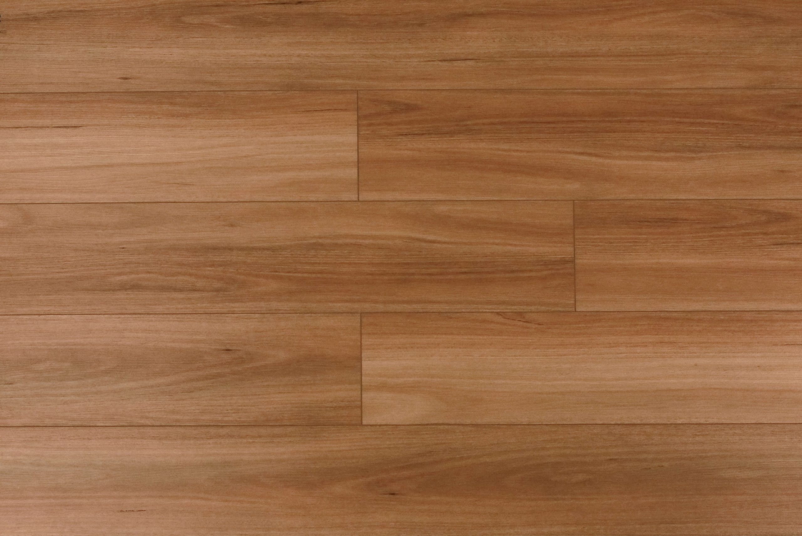 Coastal Blackbutt