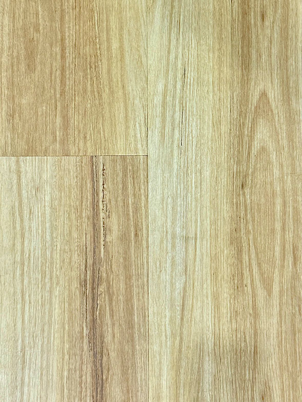 Blackbutt